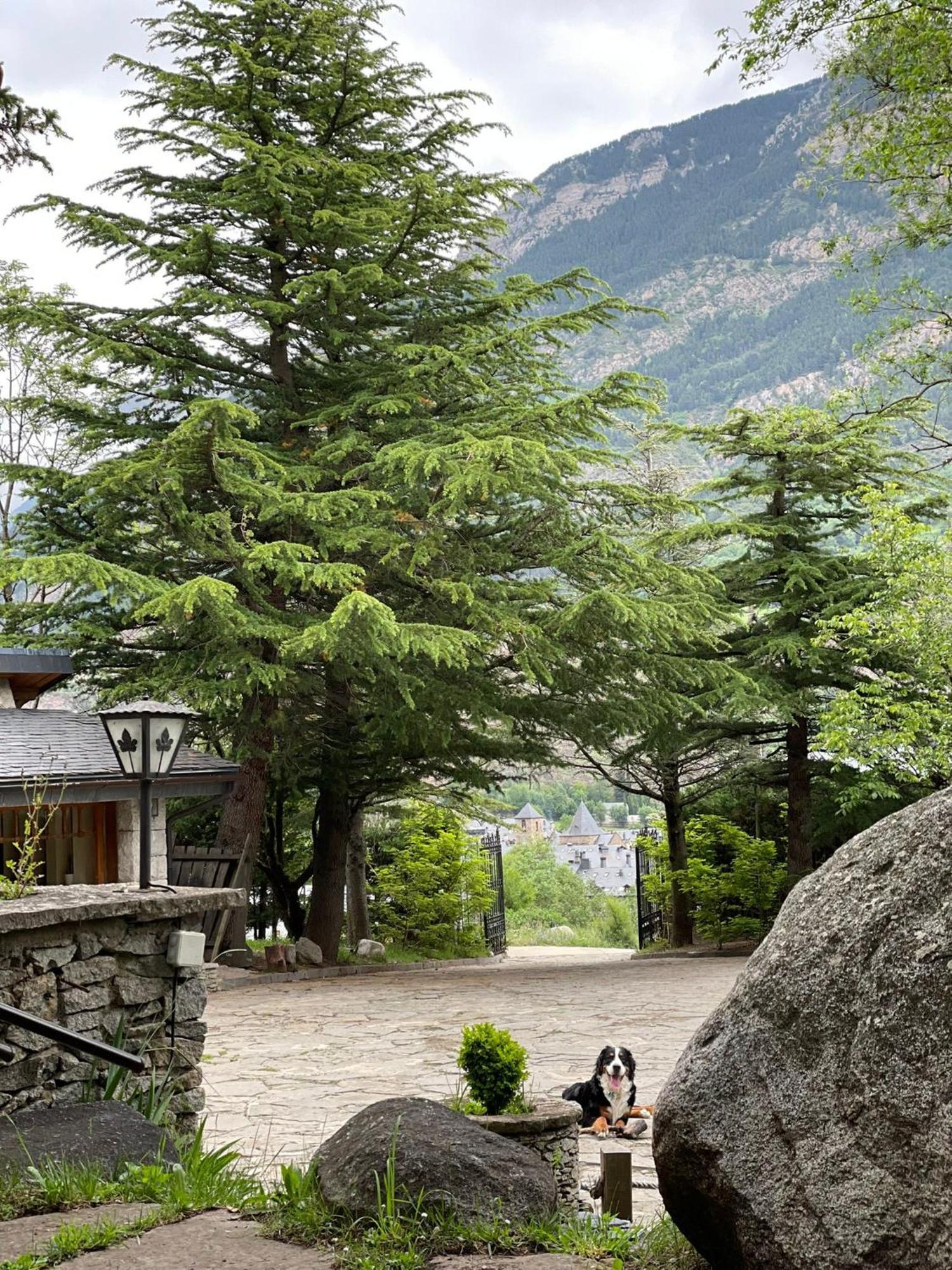 Hotel Vallibierna Benasque Buitenkant foto